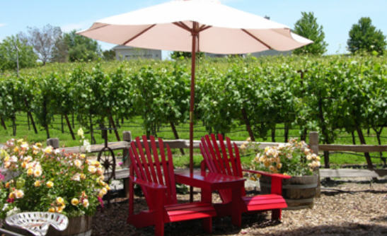 featured winery view from featured winery
