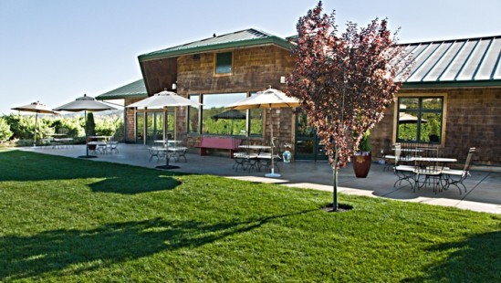view from featured winery