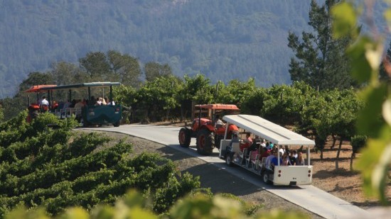 featured winery view from featured winery